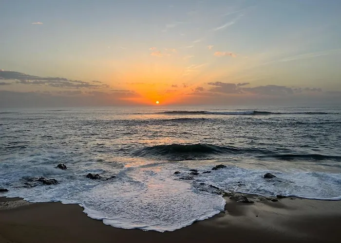 펜션 House Estrela Do Mar