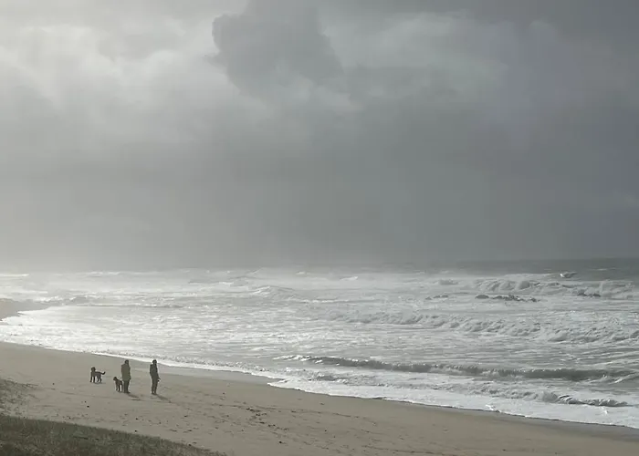 펜션 House Estrela Do Mar