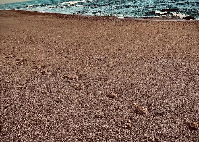 House Estrela Do Mar *